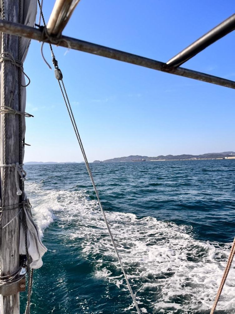 なんとか真鯛ゲット