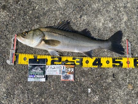 DAY2 南港のつり