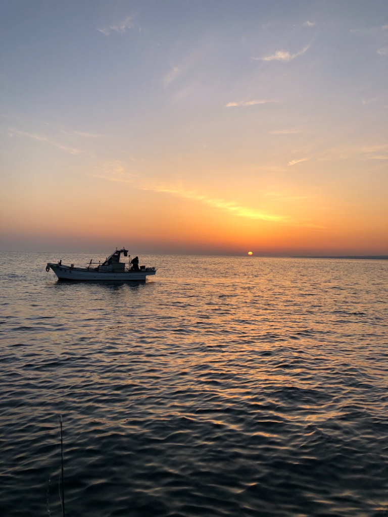 尺アジ連発！&アコウも！