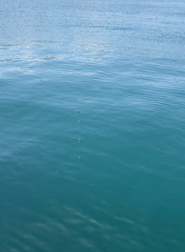 負の条件揃い踏み