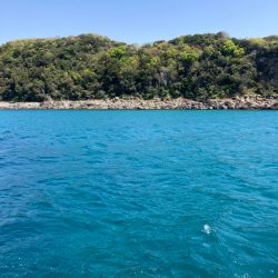 寄せてくるのが重っ!