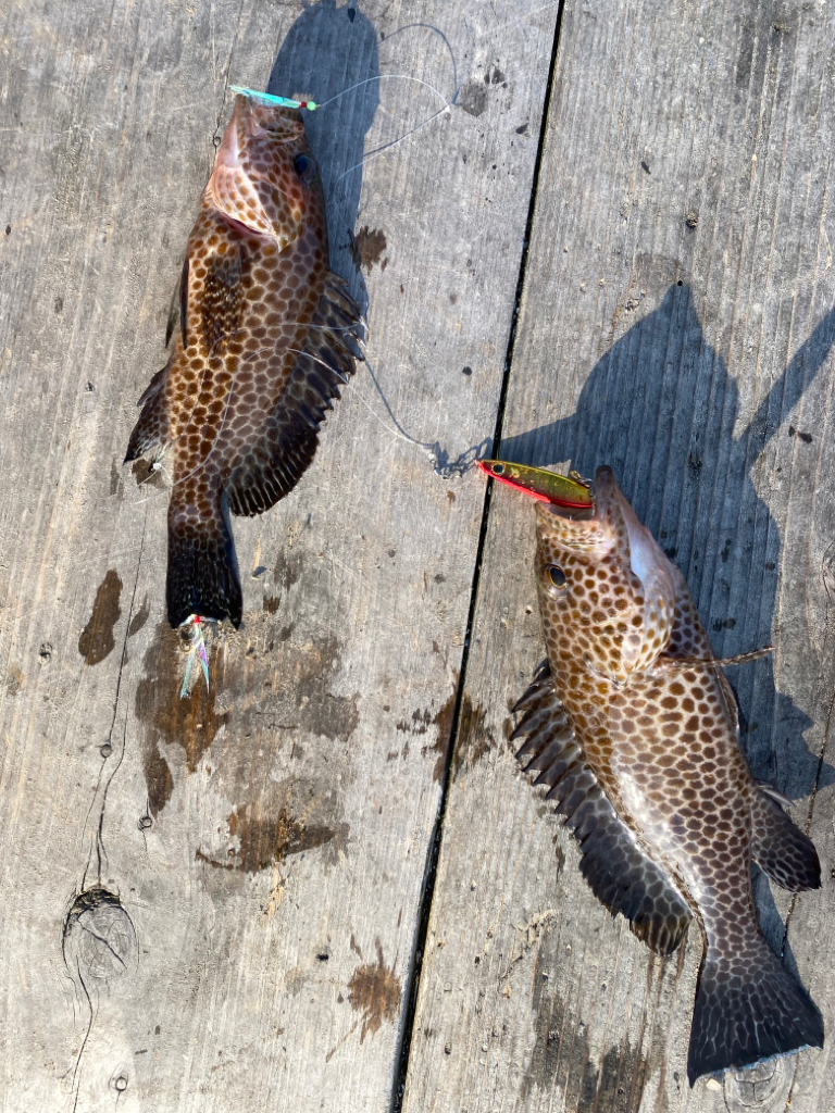 イカゲーム開幕!