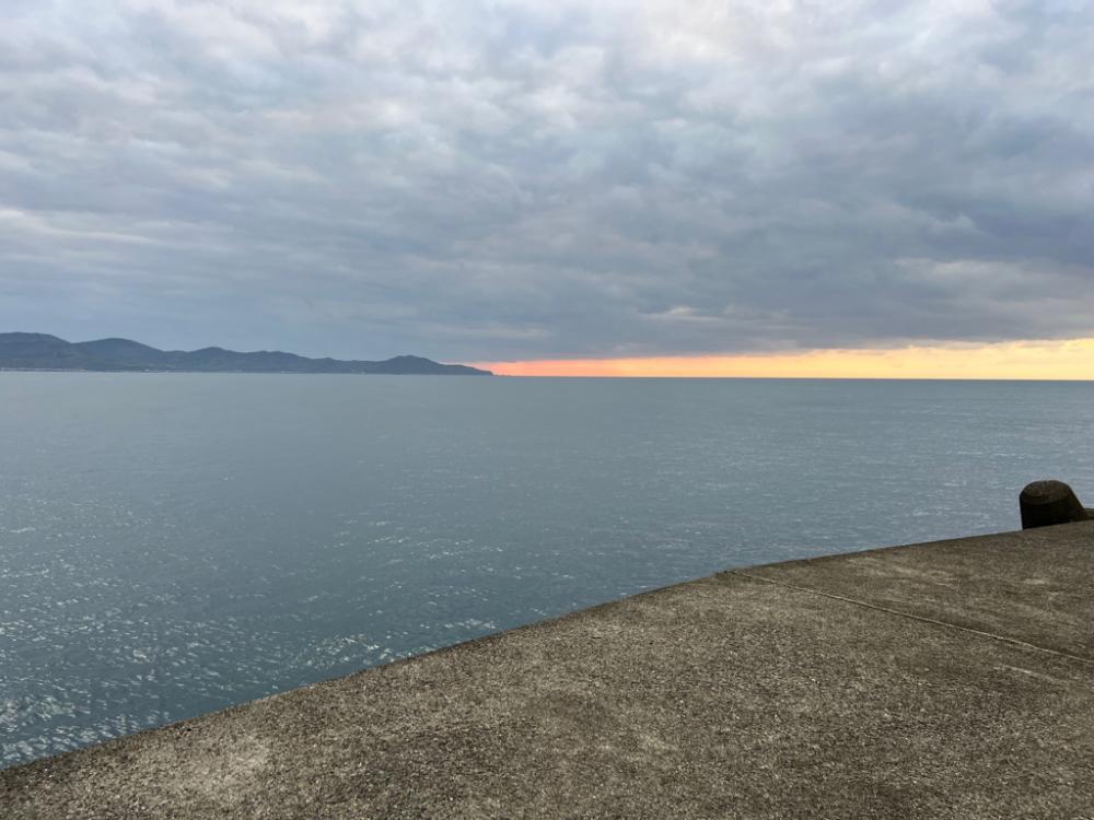 まだ青物モード継続中！