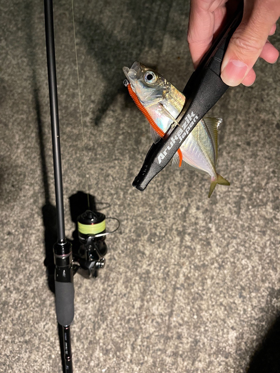 アジング良い感じ