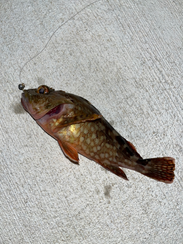 久々にマリーナシティへ