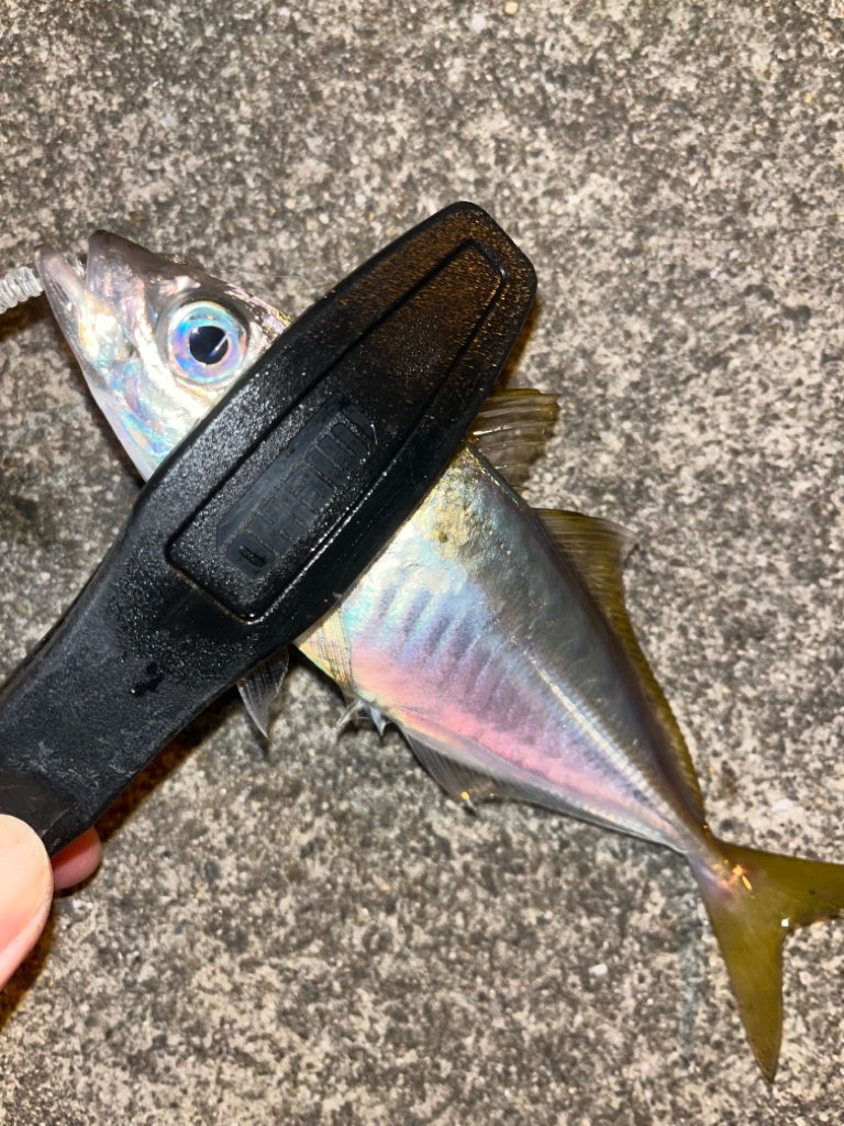 心のシーズンオフ