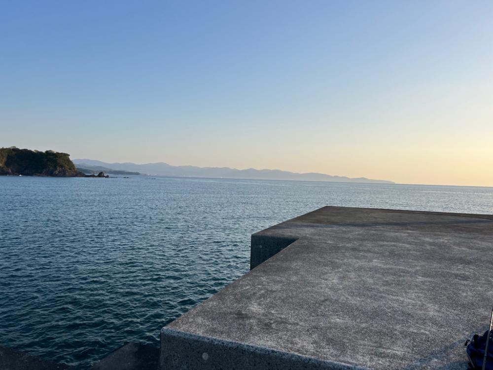 青物戦線異常アリ？ナシ？