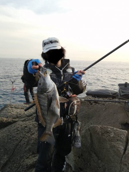 寒グレもすっかり終わり...