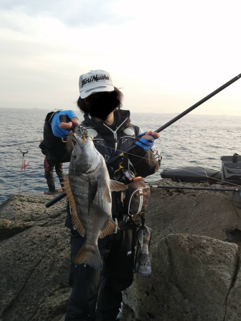 寒グレもすっかり終わり…