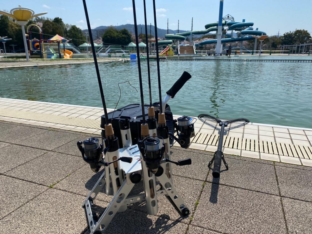 エリアトラウト　かめプー入れ食い