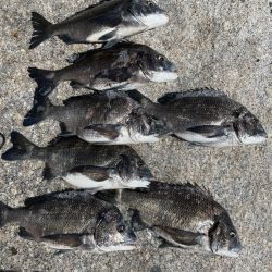 サンライン ファンカップin徳山