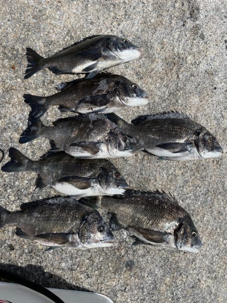 サンライン ファンカップin徳山