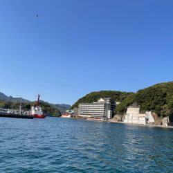 ホテル浦島!果たして?