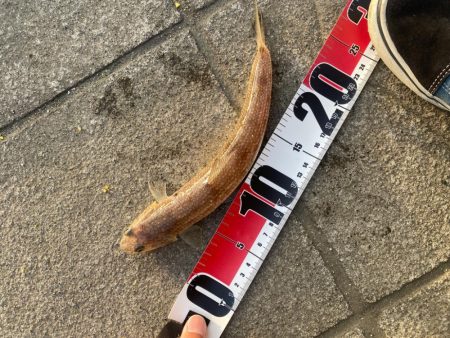 エソ！エソ！エソ！