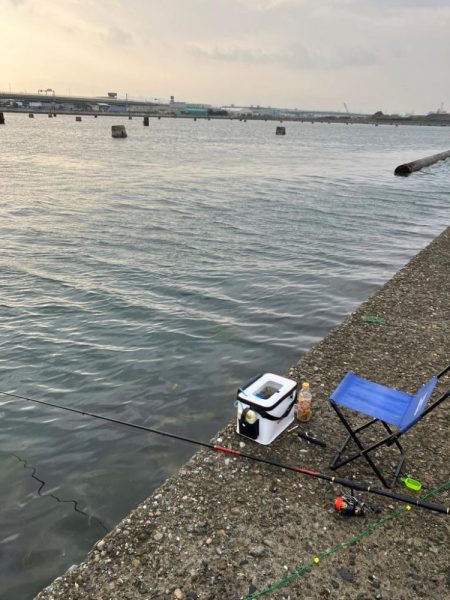 エビ撒きで乗っ込みチヌ狙い