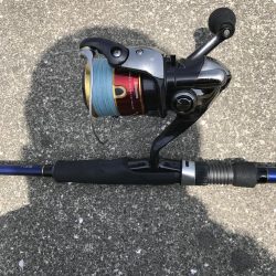 カニのちょい投げでチヌ釣り