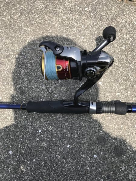 カニのちょい投げでチヌ釣り