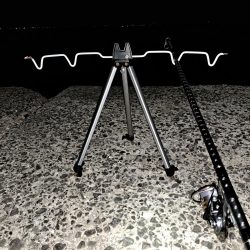 でかいアイナメ