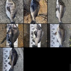 イチノ兄弟(兄)釣果!