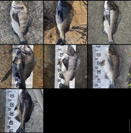 イチノ兄弟(兄)釣果!