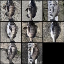 イチノ兄弟(兄)釣果!