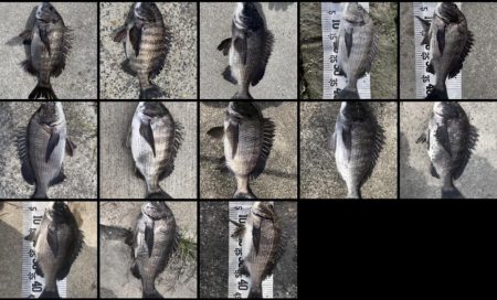 イチノ兄弟(兄)釣果!