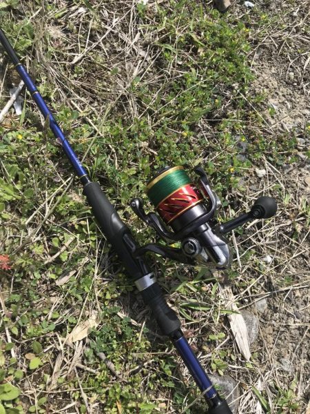 チニングでマゴチ&キビレGET