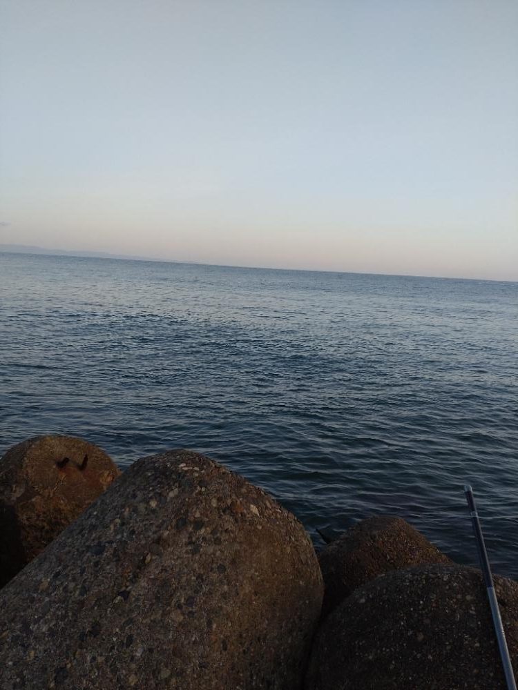 ヒラメ、キジハタ、シーバス釣れました