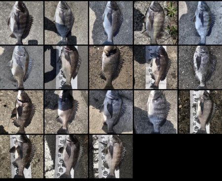 イチノ兄弟（兄）釣果！