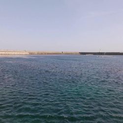 ５００匹の魚GET！