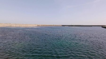 ５００匹の魚GET！