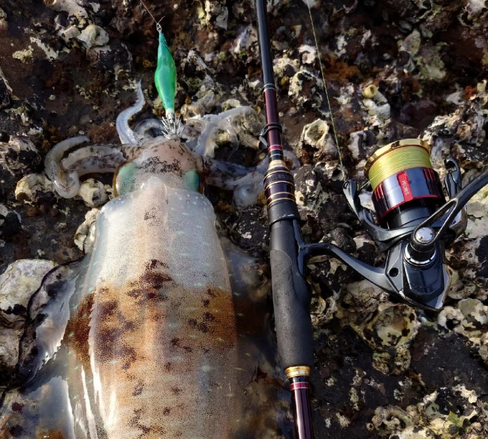 爆風エギングIN対馬