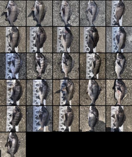 今年初爆釣❗️(イチノ兄弟兄)