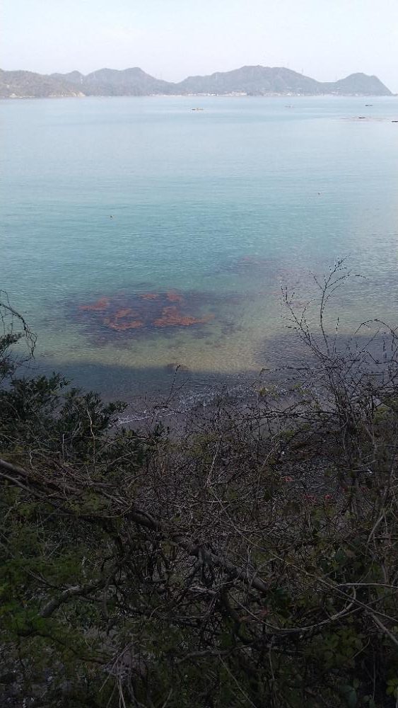 キス釣り開幕戦
