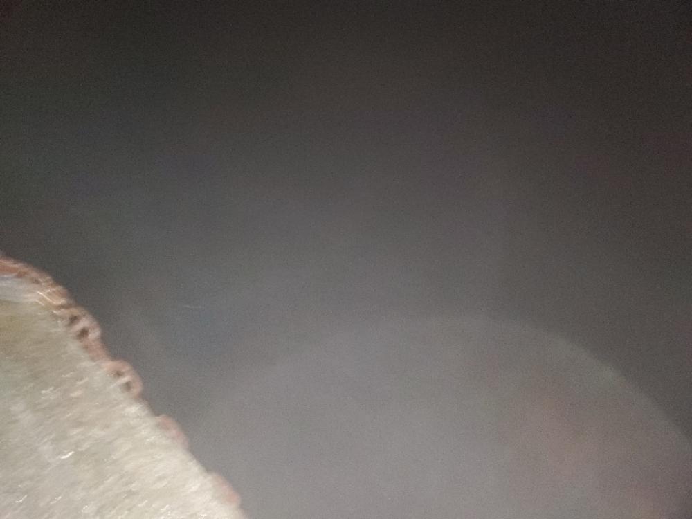 尺ガシラ、尺メバル