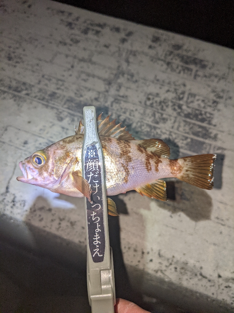 ライトゲームへ