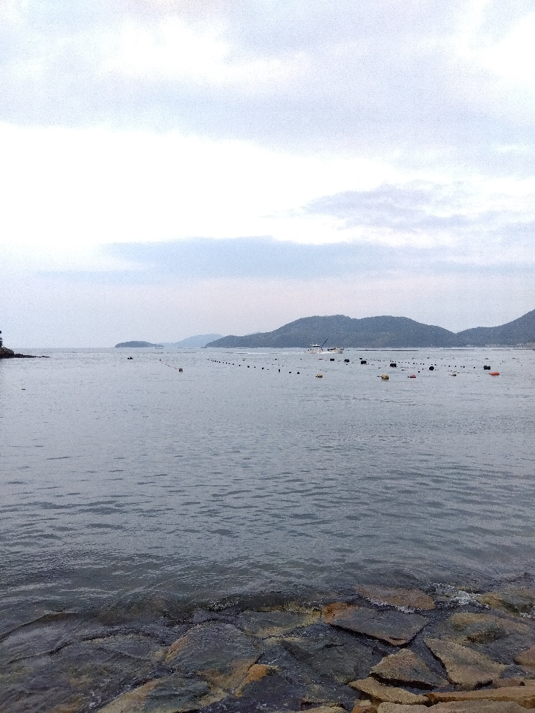 室津のキス釣り