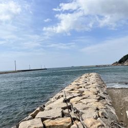 チヌさんはどこ?