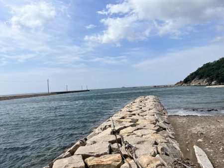 チヌさんはどこ?