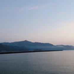 コウイカエギング