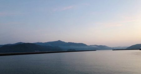 コウイカエギング