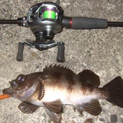 ベイトフィネスメバル　夜光虫に苦戦