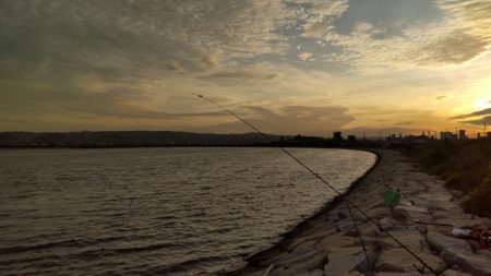 釣り人おらずも魚はいます