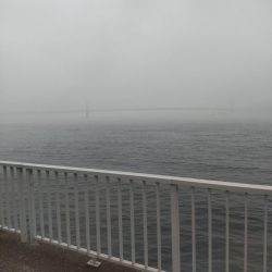 ルアーで初めてのブリ！