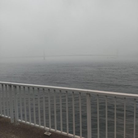 ルアーで初めてのブリ！