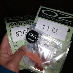 カサゴ狙いでライトワインド☆