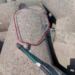 プチsalt water game