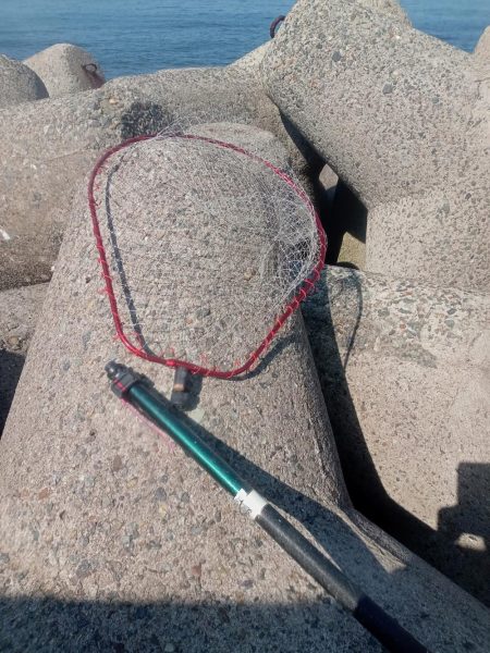 プチsalt water game