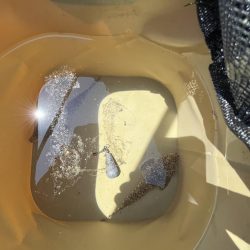 カレイはどこっすか？