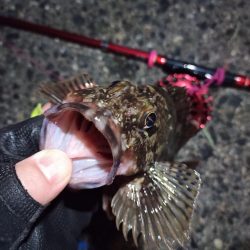 2023/04/05 南港ヘチ釣り釣行